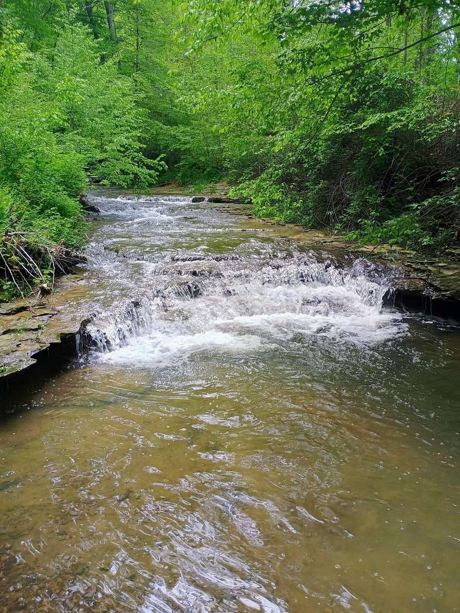 1 Acre of Residential Land for Sale in Eubank, Kentucky