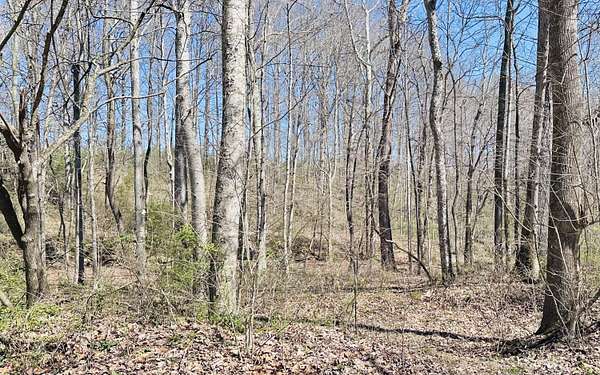 1 Acre of Residential Land for Sale in Eubank, Kentucky