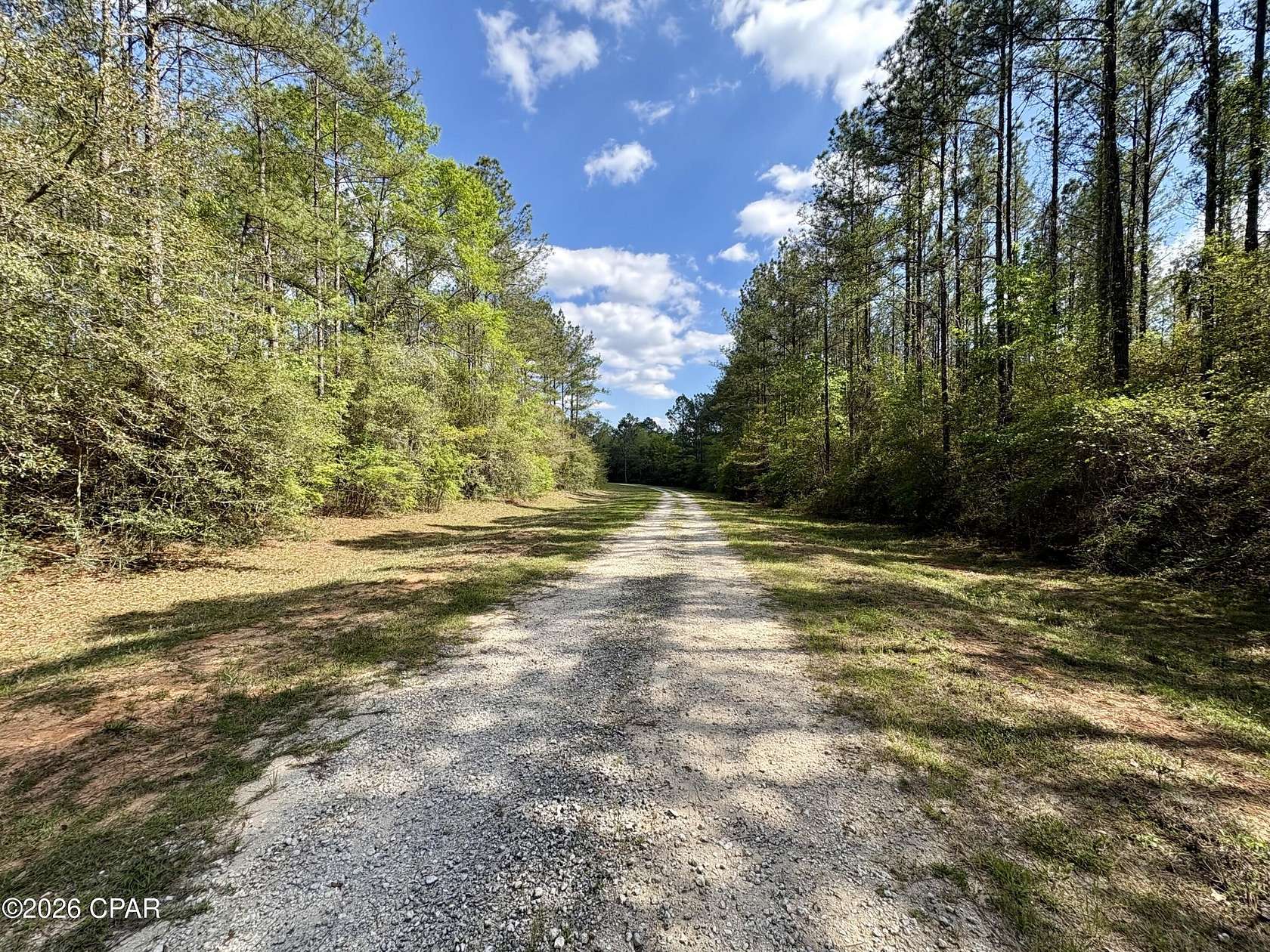 5.7 Acres of Residential Land for Sale in Westville, Florida