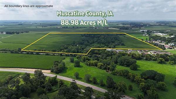 89 Acres of Land for Sale in Wapsinonoc Township, Iowa
