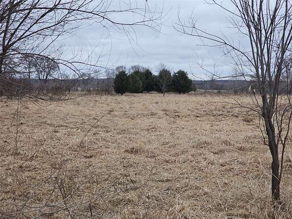22 Acres of Land for Sale in Boyceville, Wisconsin