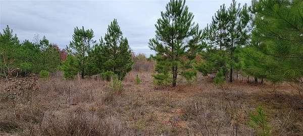 38 Acres of Recreational & Residential Land for Sale in Marshall, Texas
