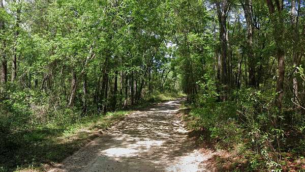 0.21 Acres of Residential Land for Sale in Live Oak, Florida