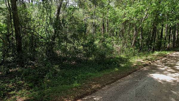 0.19 Acres of Residential Land for Sale in Live Oak, Florida