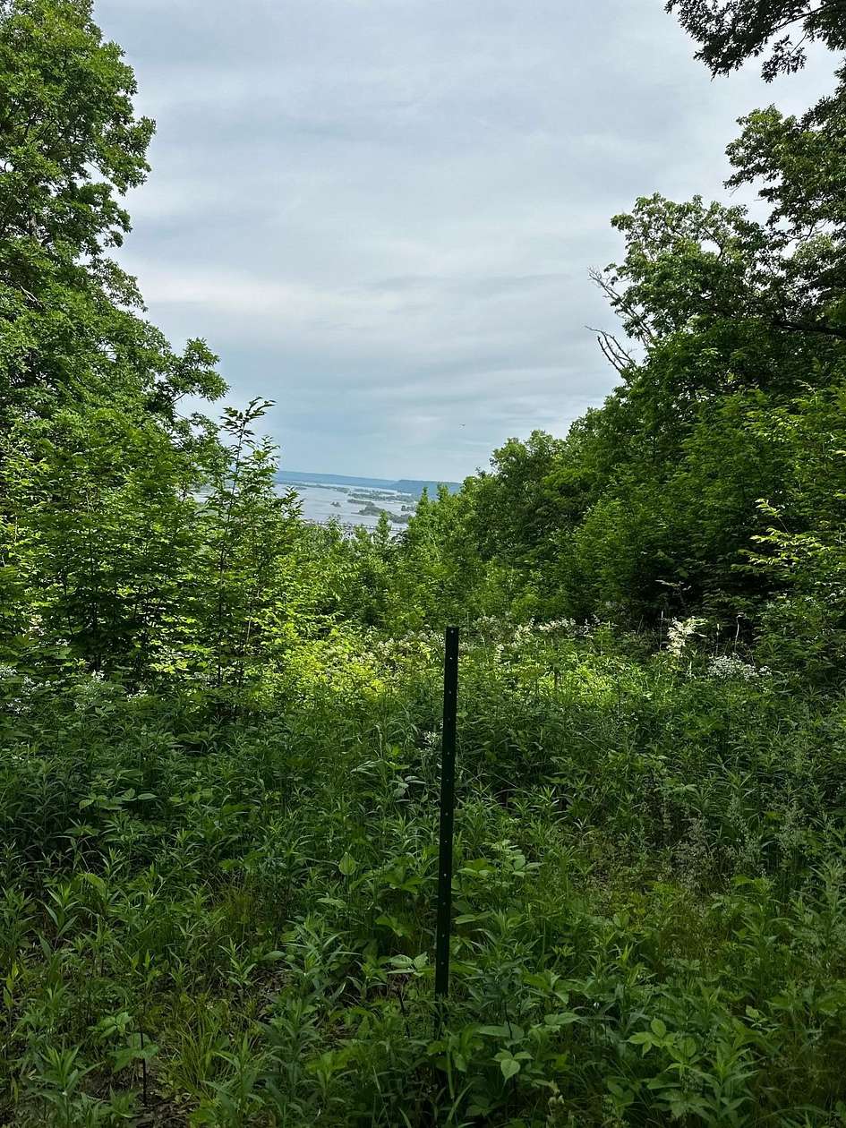 3.22 Acres of Residential Land for Sale in Alma, Wisconsin