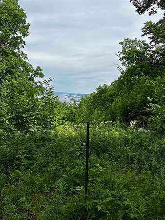 3.22 Acres of Residential Land for Sale in Alma, Wisconsin