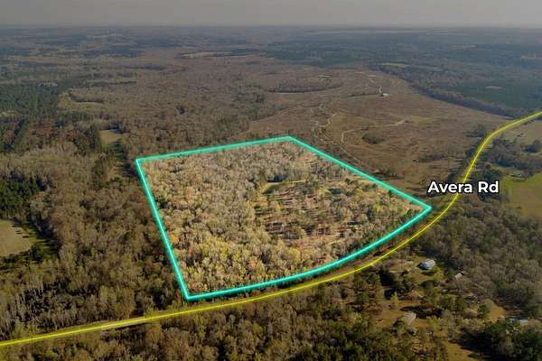 60 Acres of Land for Sale in Roberta, Georgia