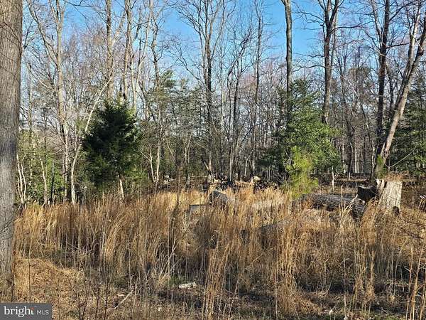 0.38 Acres of Residential Land for Sale in Montross, Virginia