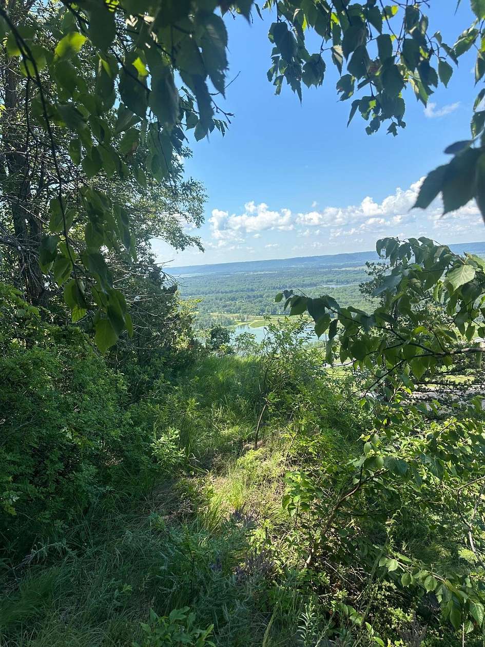2.46 Acres of Residential Land for Sale in Alma, Wisconsin