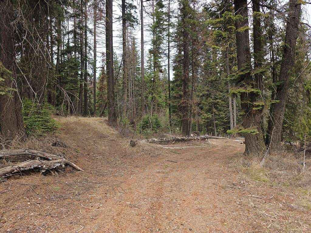 0.9 Acres of Land for Sale in Donnelly, Idaho