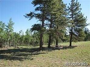 2.5 Acres of Residential Land for Sale in Hartsel, Colorado