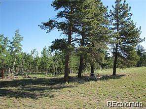 2.5 Acres of Residential Land for Sale in Hartsel, Colorado