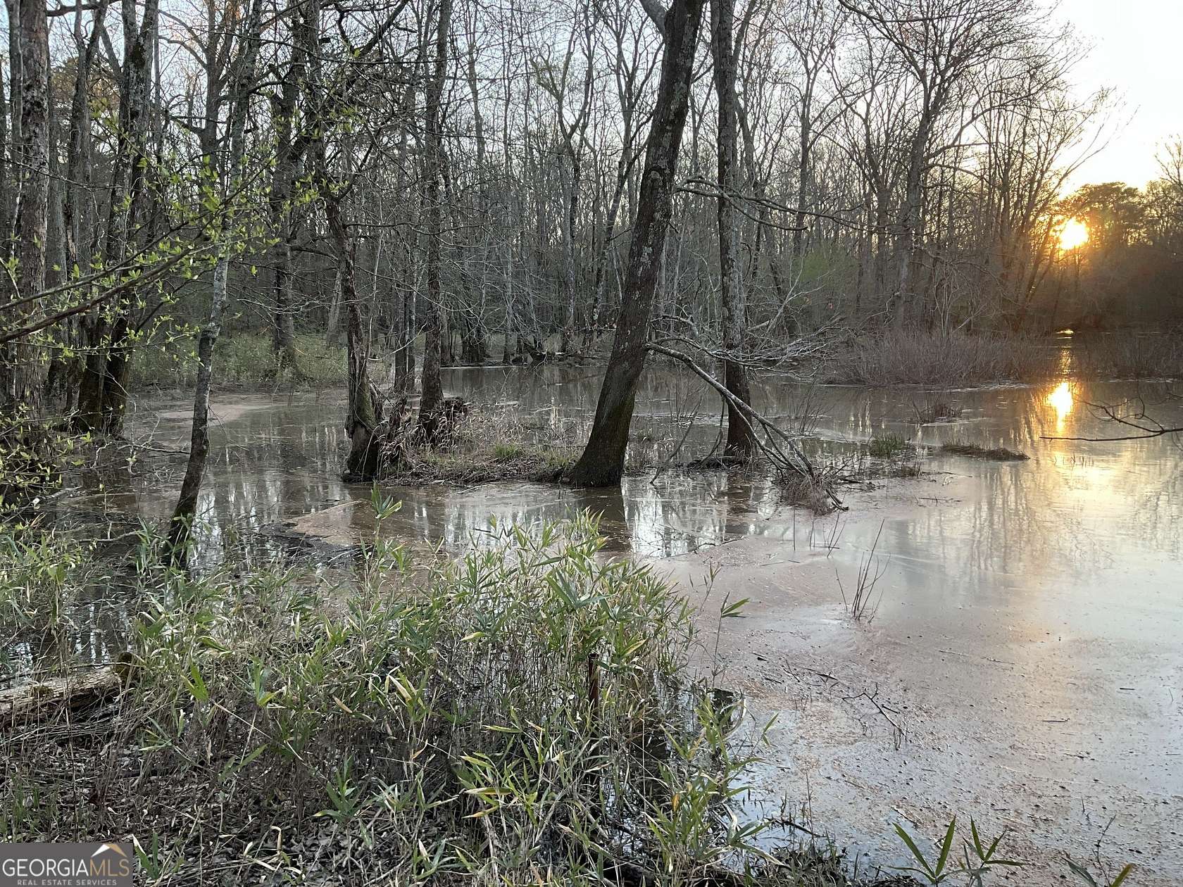 13.7 Acres of Land for Sale in Griffin, Georgia