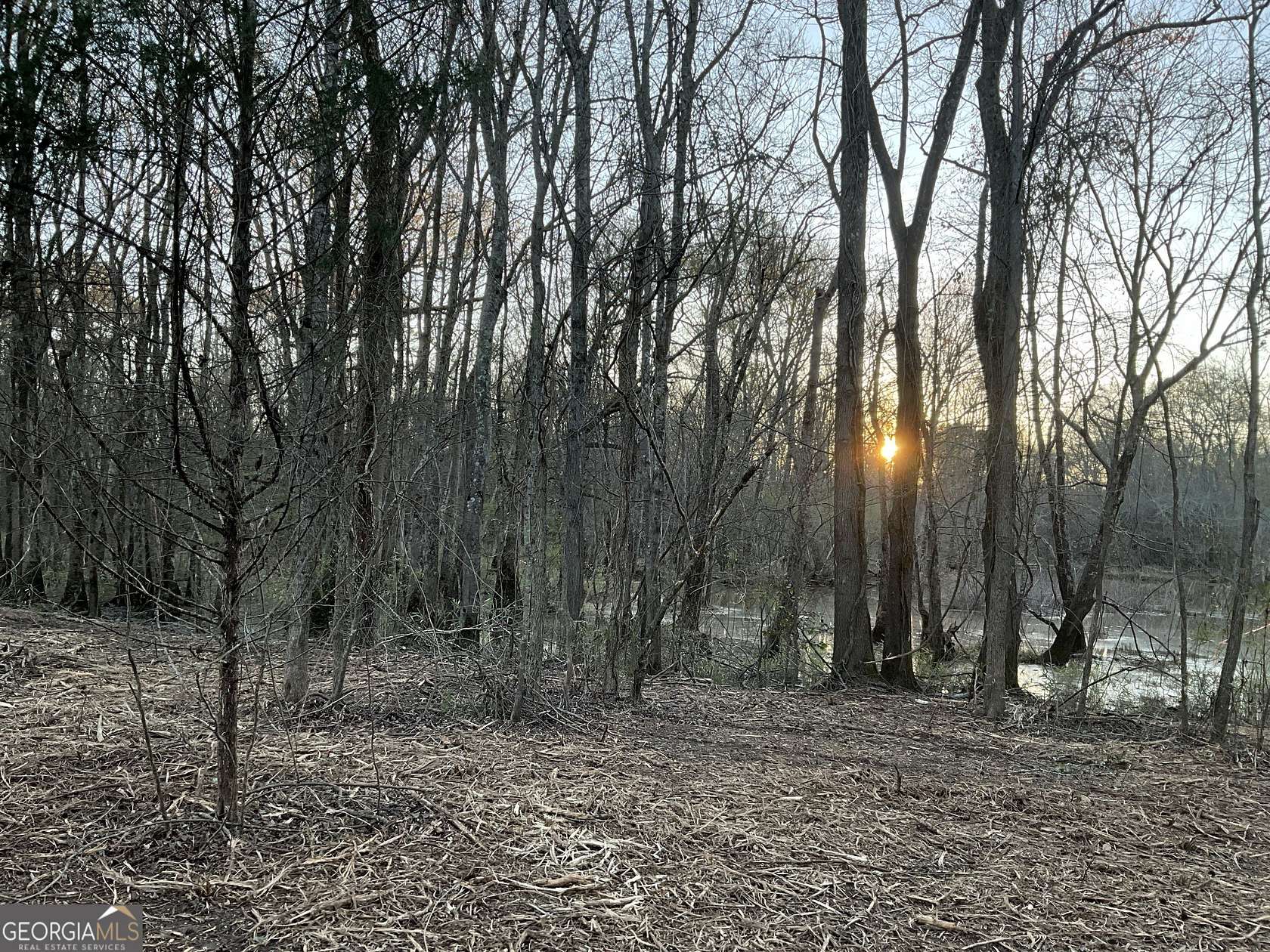 13.7 Acres of Land for Sale in Griffin, Georgia