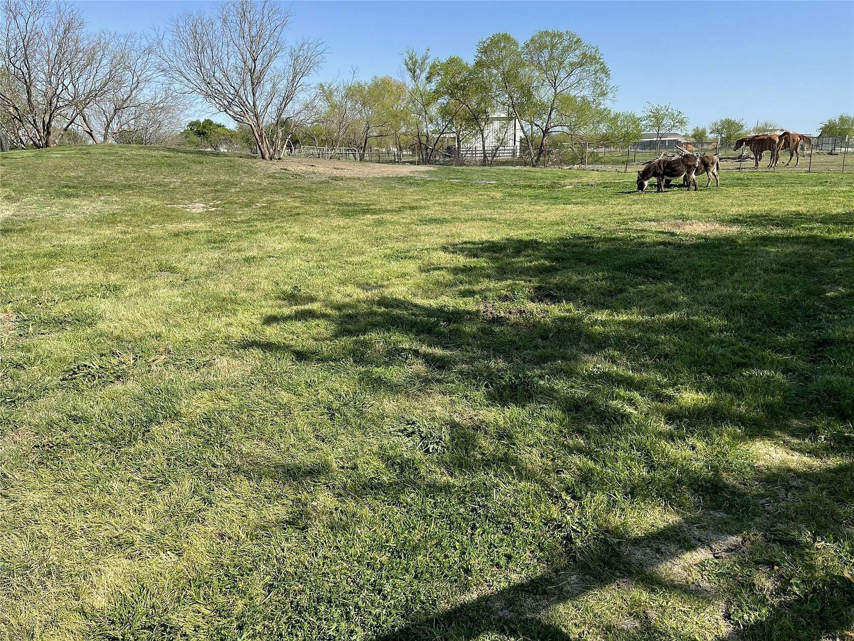 4 Acres of Land with Home for Sale in Pilot Point, Texas