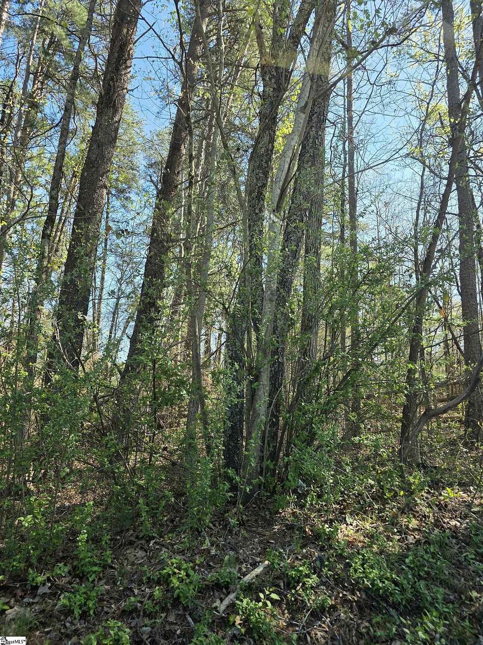 0.44 Acres of Residential Land for Sale in Taylors, South Carolina