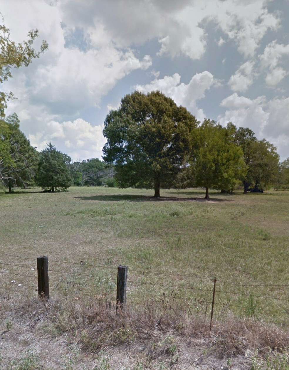 12 Acres of Land for Sale in Grand Saline, Texas