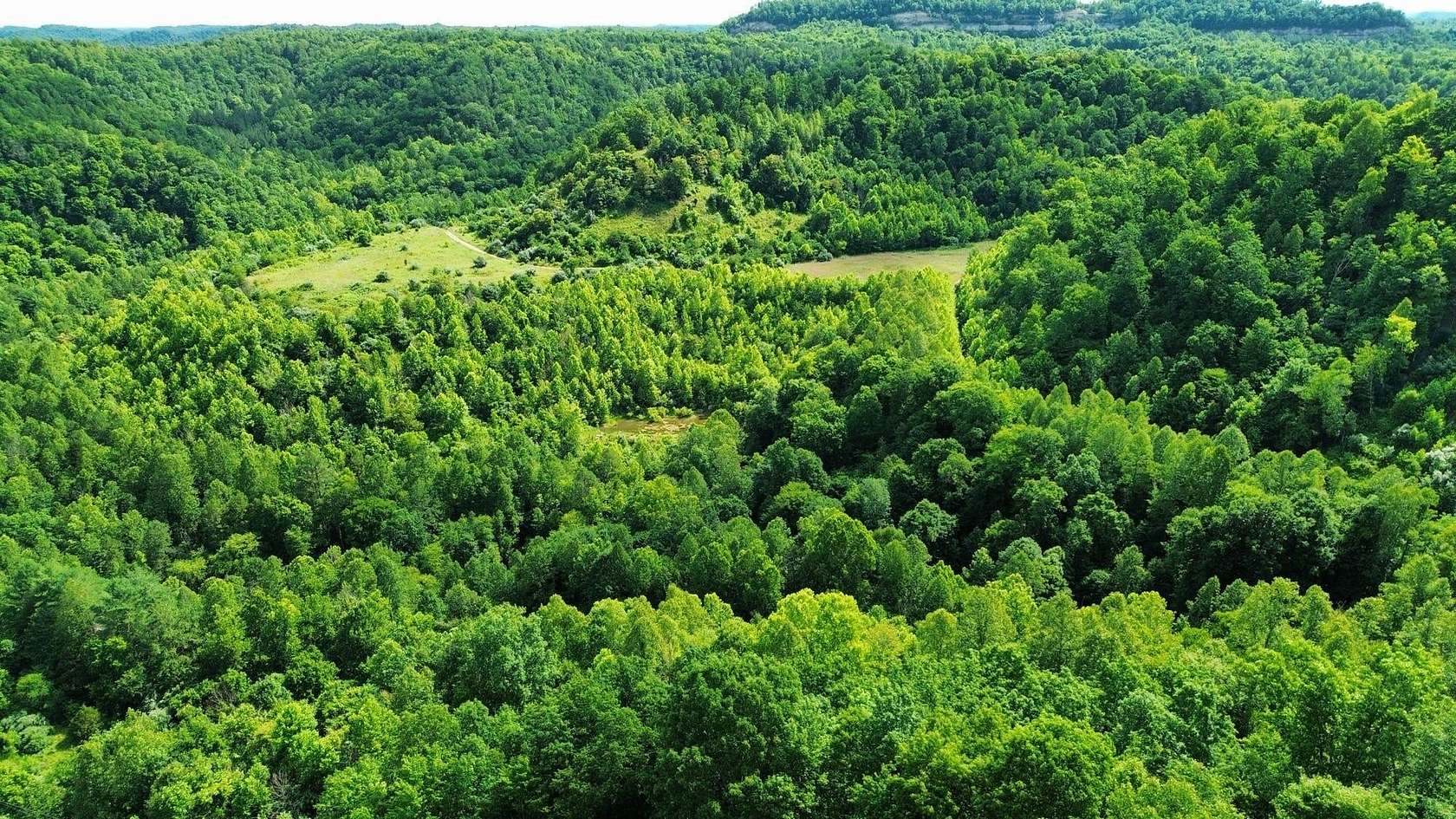 3,800 Acres of Recreational Land for Sale in Van Lear, Kentucky