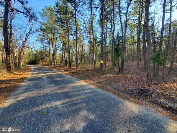 10 Acres of Recreational Land for Sale in Manchester Township, New Jersey