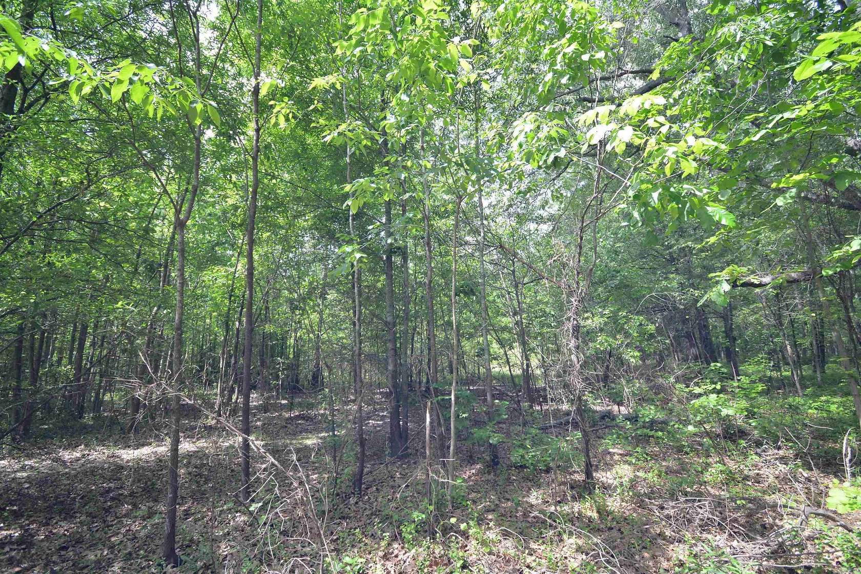 3 Acres of Land for Sale in Bald Knob, Arkansas