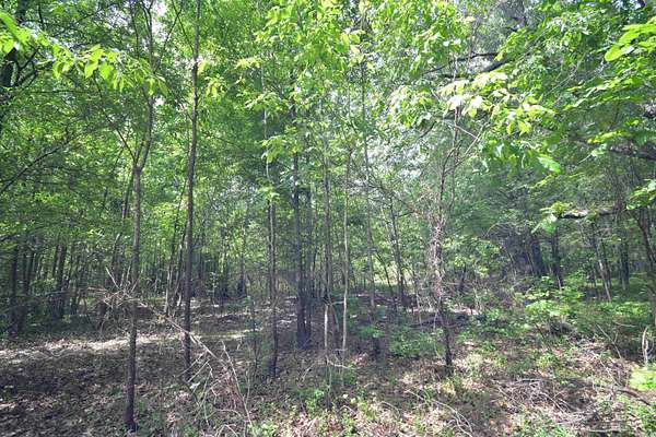 3 Acres of Land for Sale in Bald Knob, Arkansas