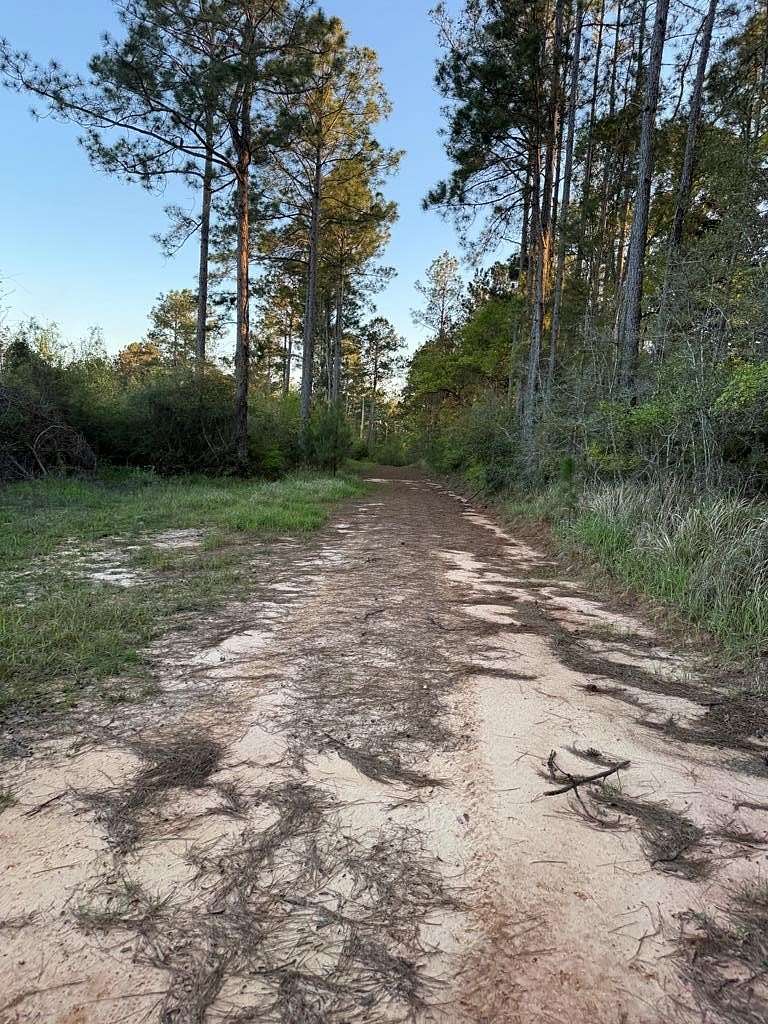 190 Acres of Recreational & Residential Land for Sale in Poplarville, Mississippi