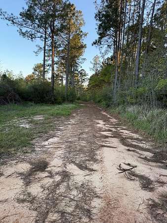 190 Acres of Recreational & Residential Land for Sale in Poplarville, Mississippi