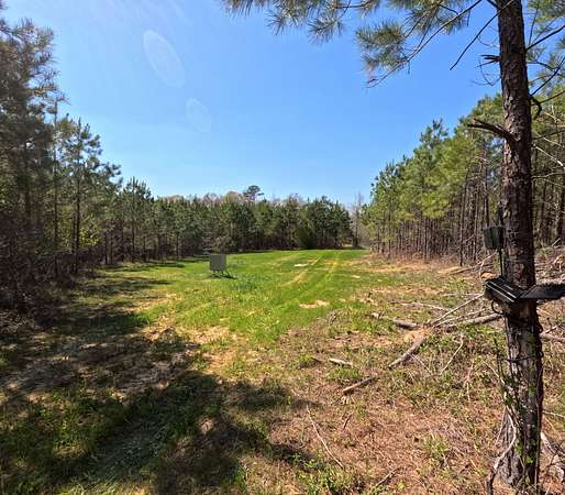 66.6 Acres of Land for Sale in Utica, Mississippi