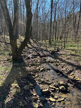 49 Acres of Recreational Land for Sale in Collinsville, Alabama