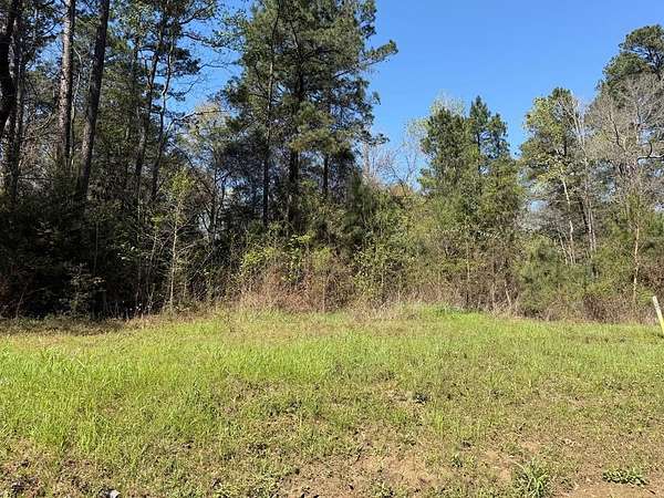 82 Acres of Recreational Land for Sale in Shelbyville, Texas