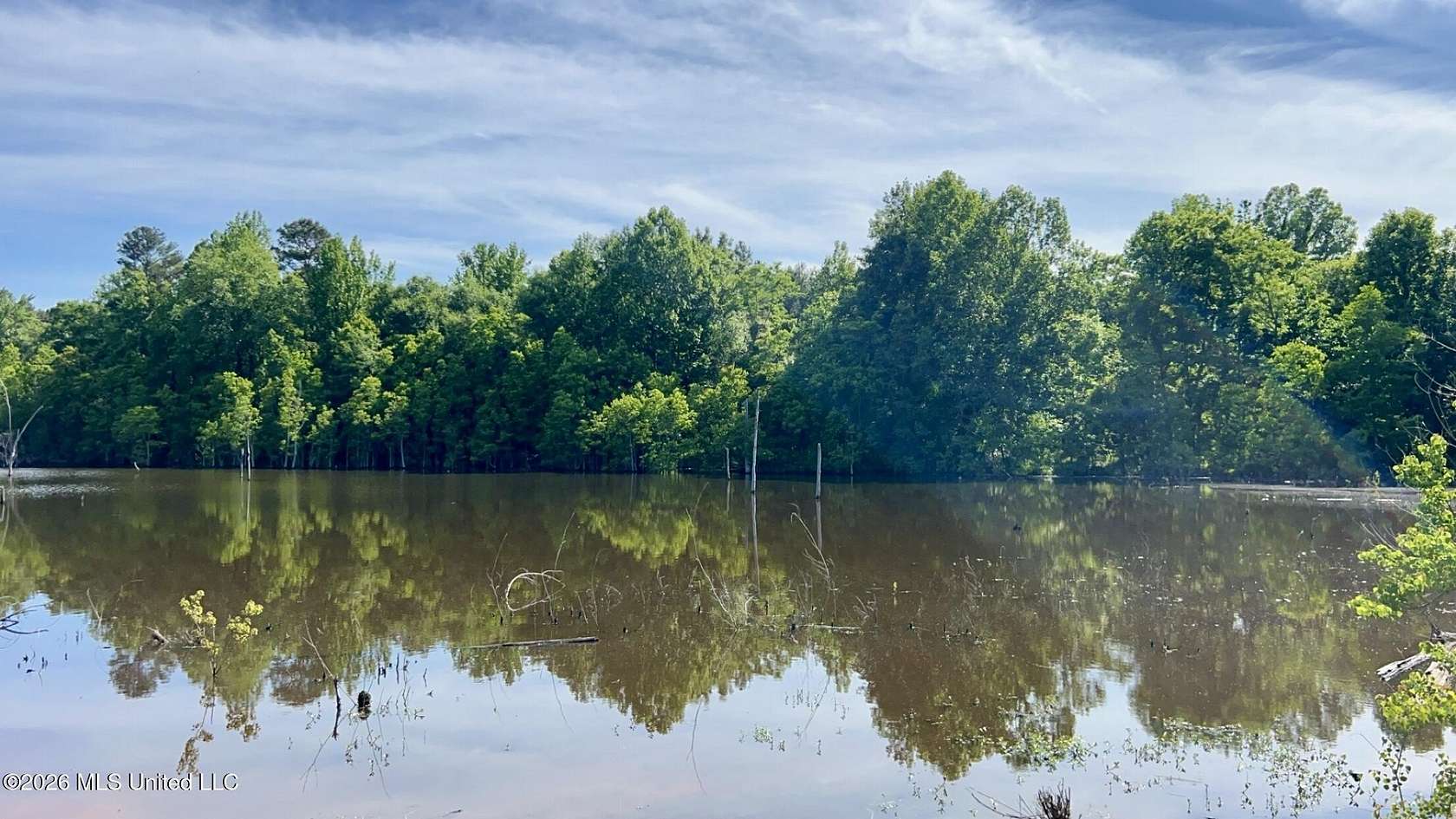 420 Acres of Recreational & Residential Land for Sale in Richland, Mississippi