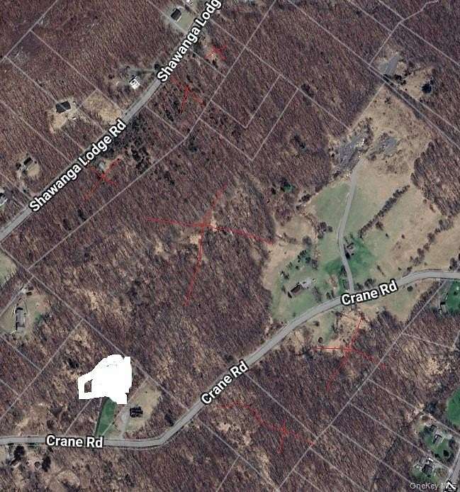 65.7 Acres of Land with Home for Sale in Bloomingburg, New York