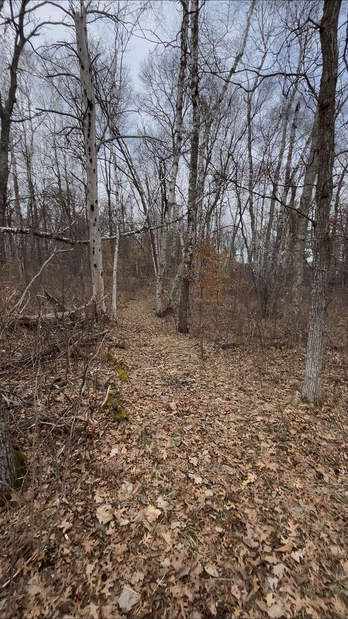 1.4 Acres of Land for Sale in Crosslake, Minnesota