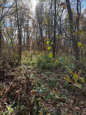 1.4 Acres of Land for Sale in Crosslake, Minnesota