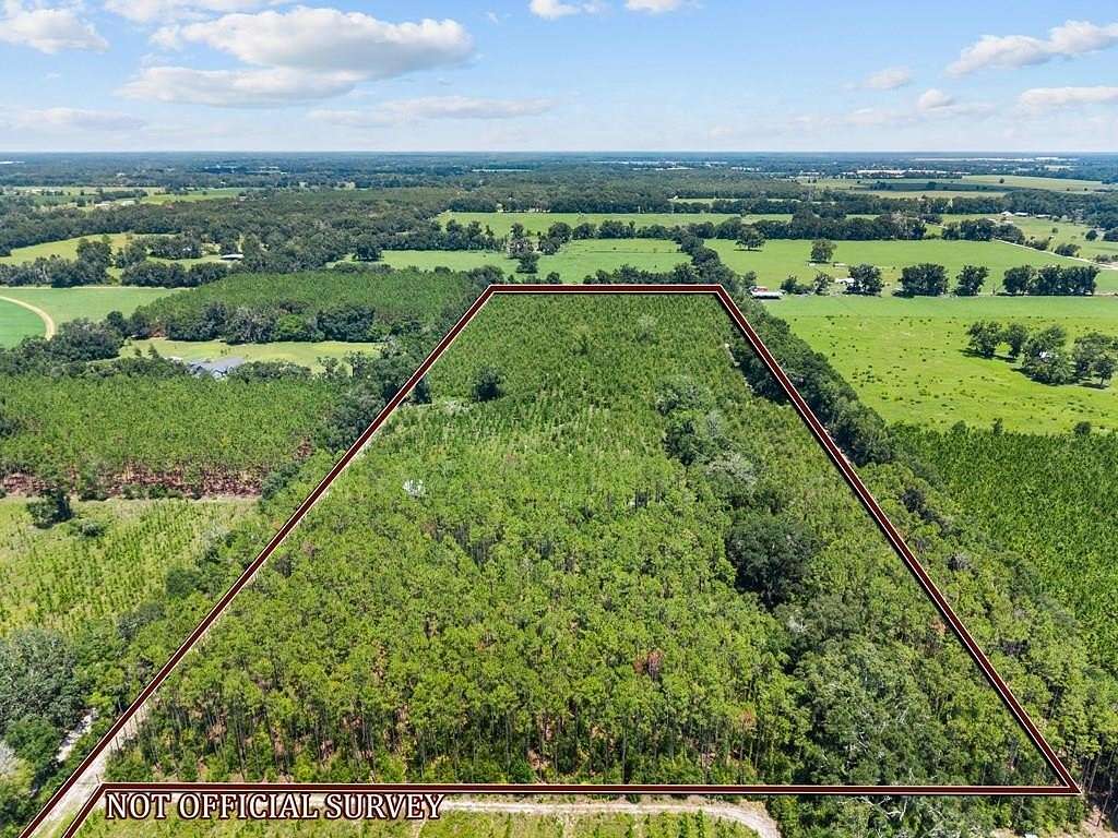26.2 Acres of Land for Sale in Bell, Florida