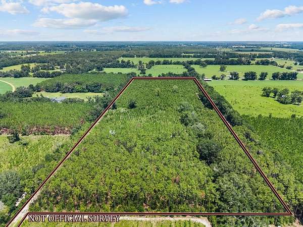 26.2 Acres of Land for Sale in Bell, Florida