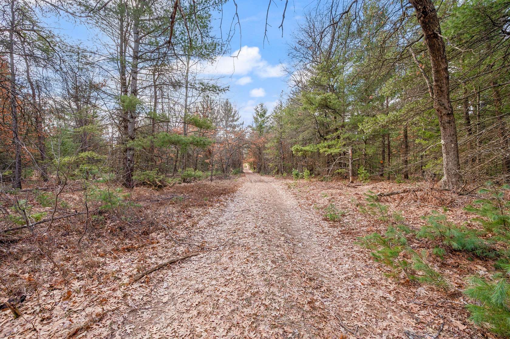 40 Acres of Recreational Land for Sale in Brohman, Michigan