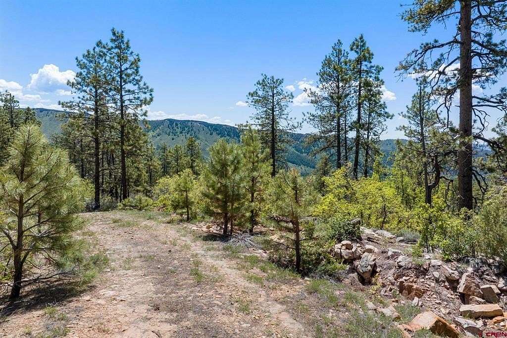 35 Acres of Recreational & Residential Land for Sale in Durango, Colorado