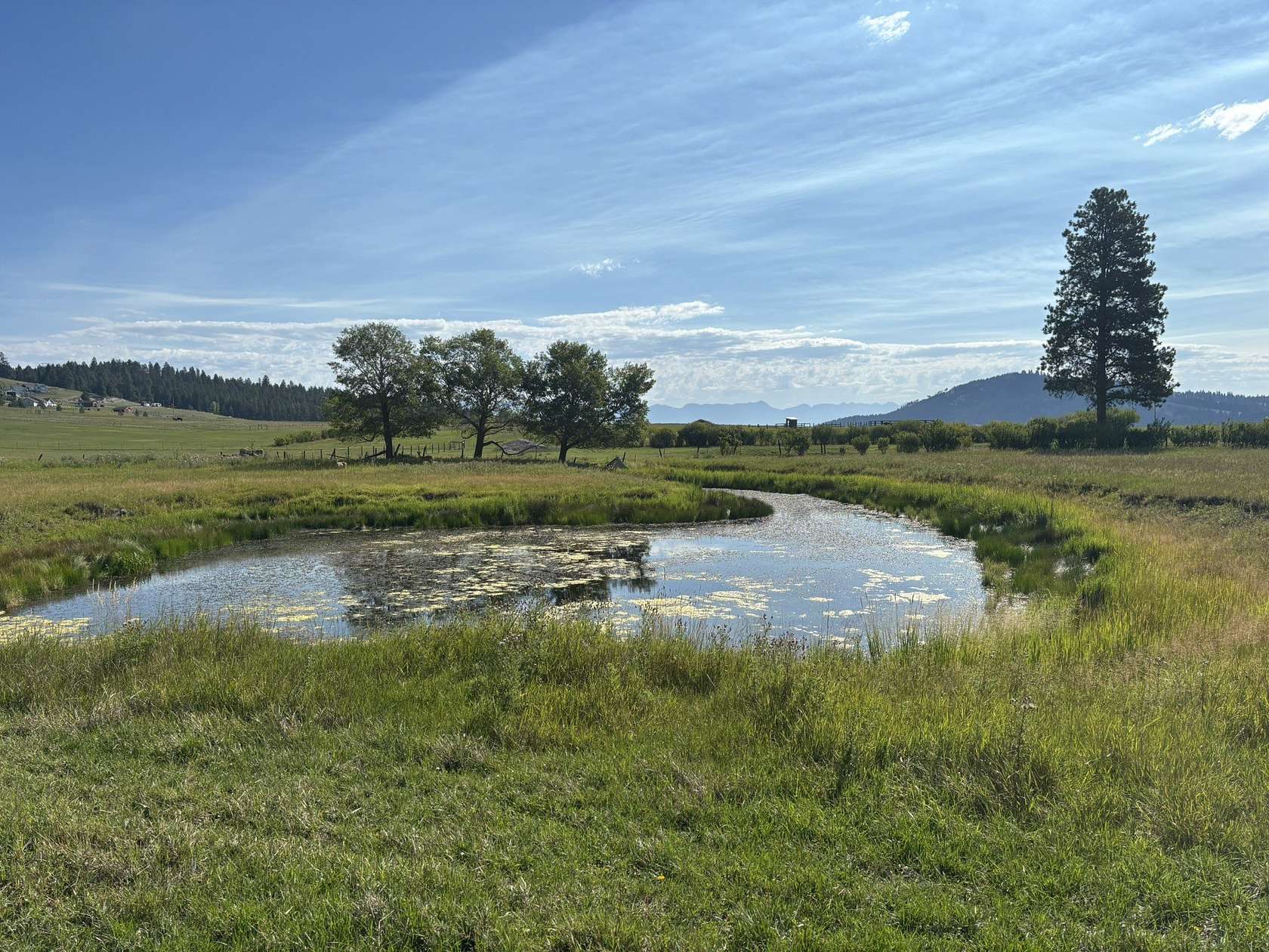 5 Acres of Residential Land for Sale in Kalispell, Montana