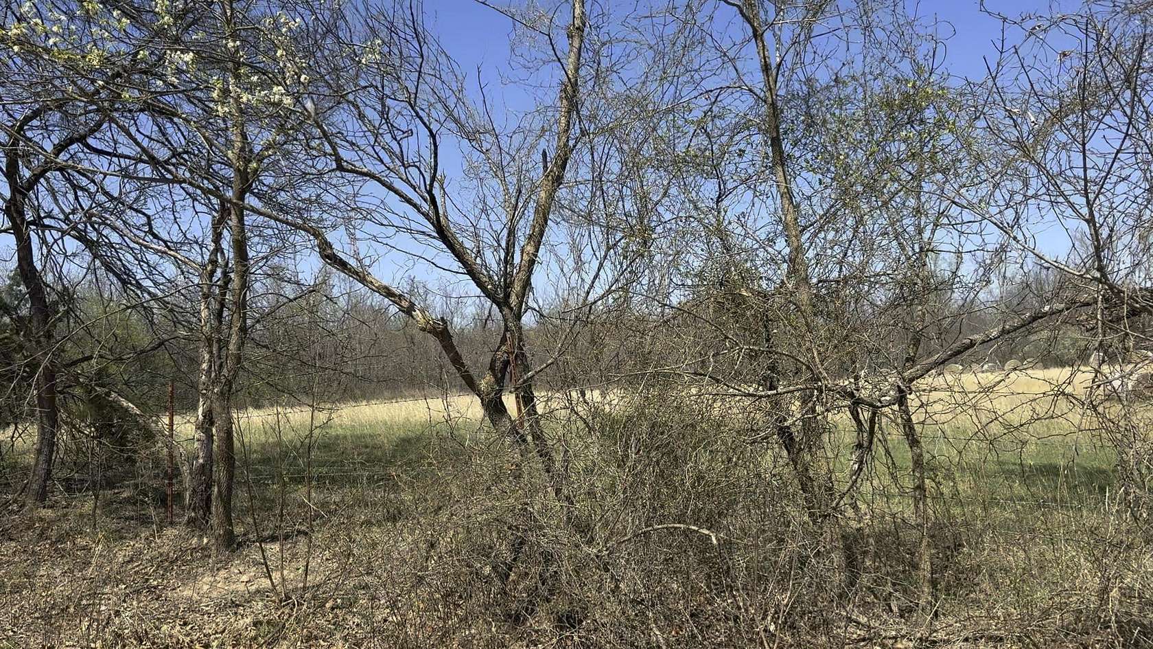 5 Acres of Residential Land for Sale in Wyandotte, Oklahoma