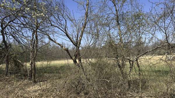 5 Acres of Residential Land for Sale in Wyandotte, Oklahoma