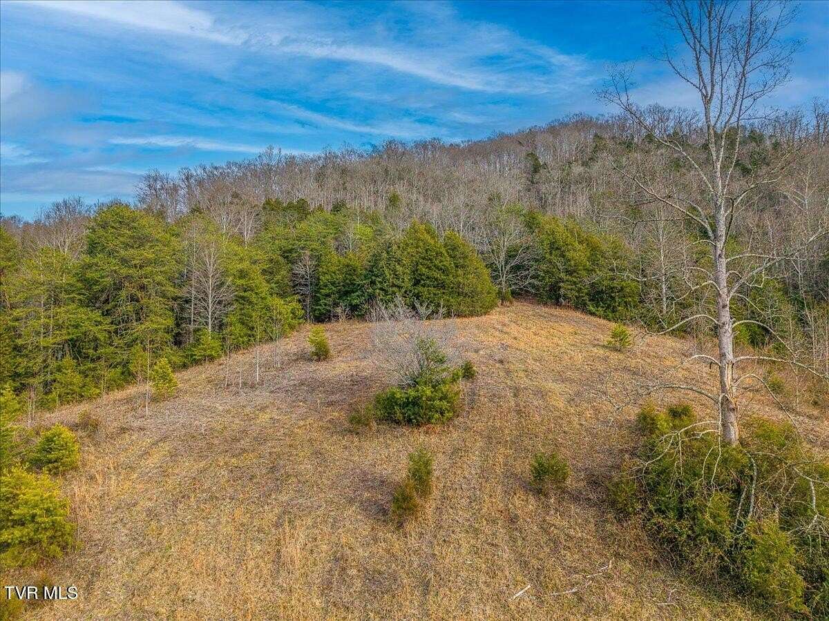 76 Acres of Agricultural & Residential Land for Sale in Sneedville, Tennessee