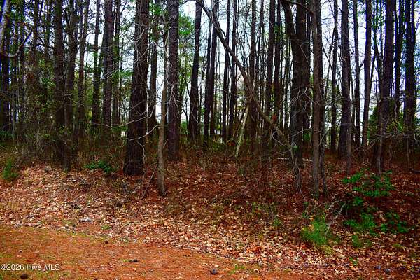 0.38 Acres of Residential Land for Sale in Saratoga, North Carolina