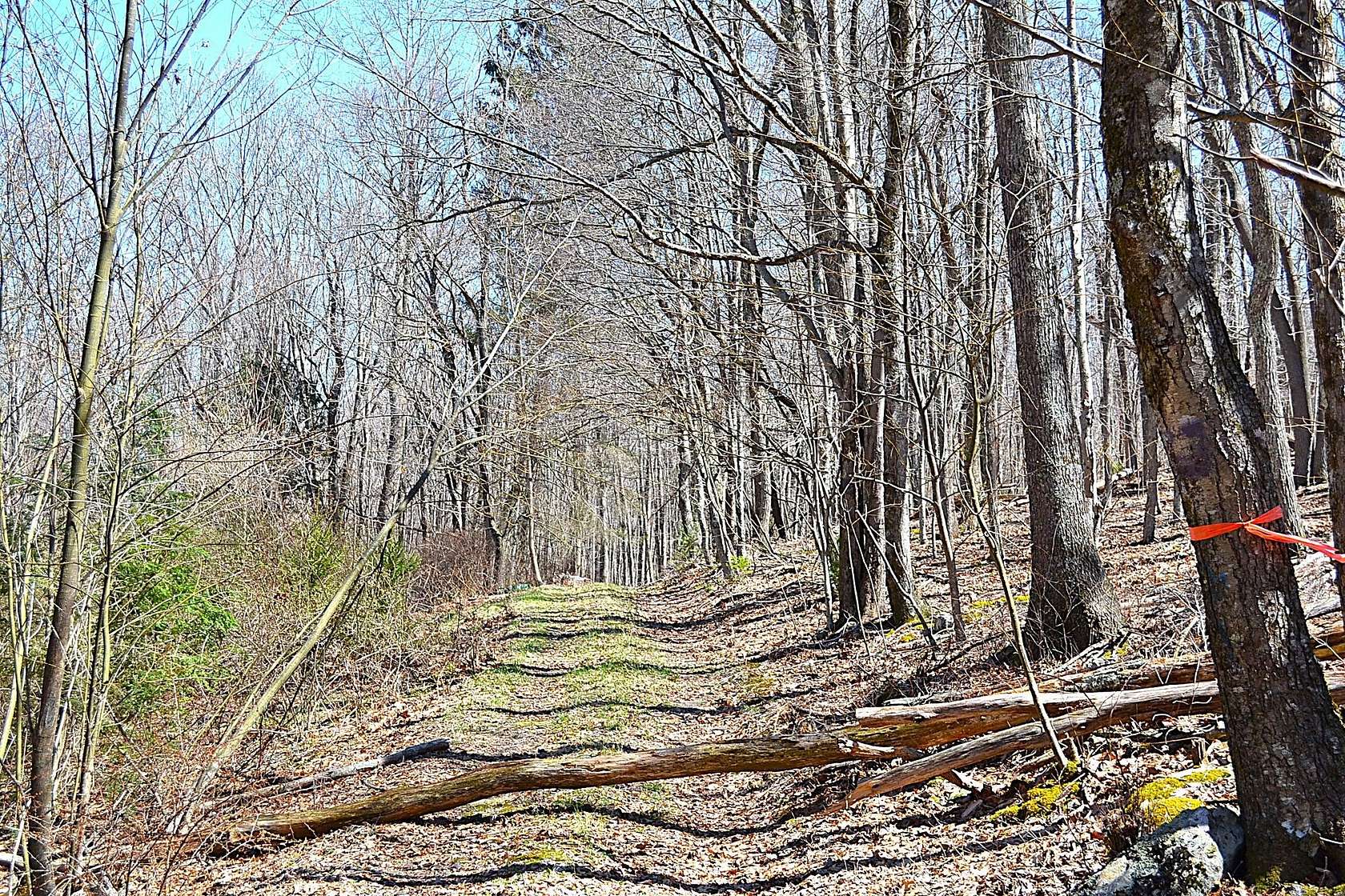 12.8 Acres of Recreational & Residential Land for Sale in Gap Mills, West Virginia