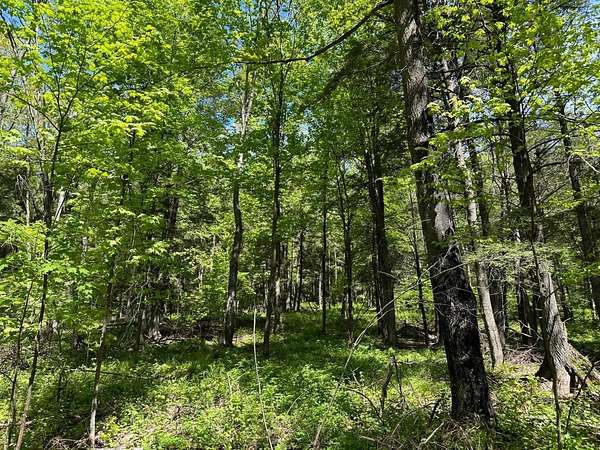 11 Acres of Land for Sale in Maine, Wisconsin