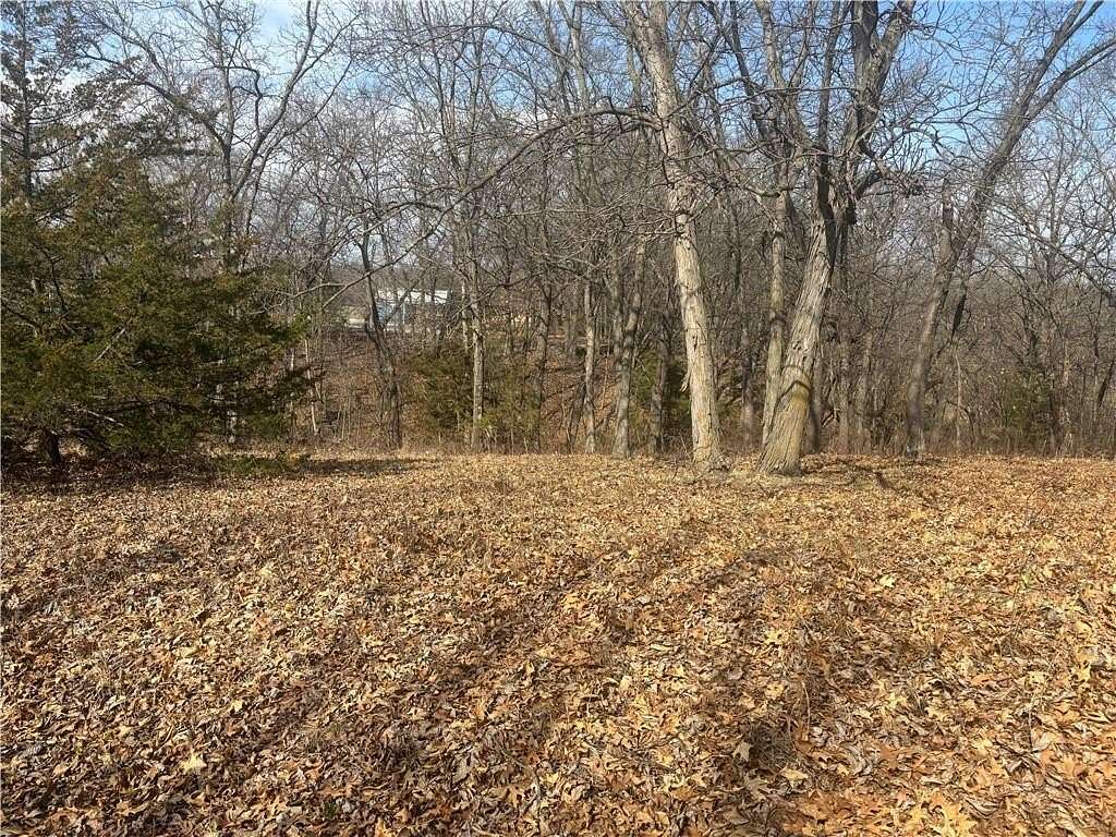 0.39 Acres of Residential Land for Sale in Altamont, Missouri
