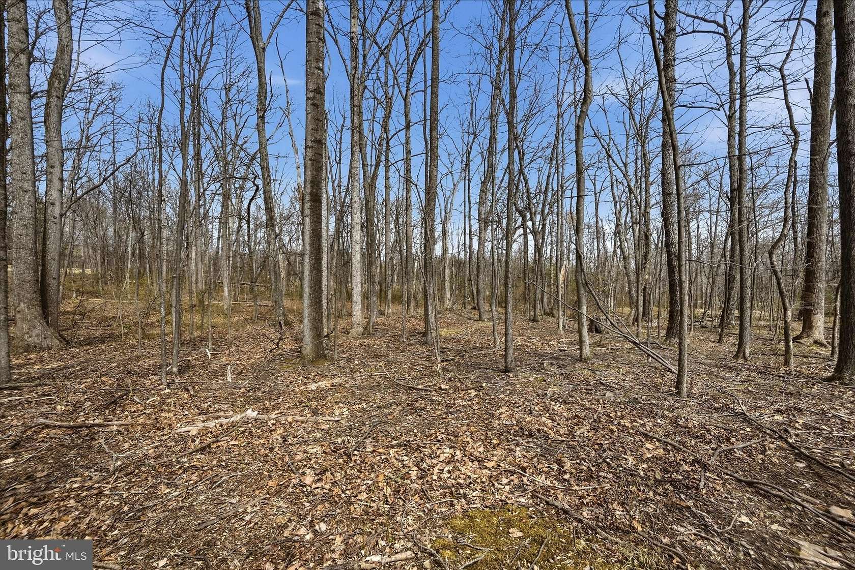 4.47 Acres of Residential Land for Sale in Haymarket, Virginia