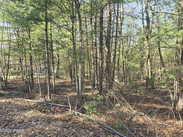 1.15 Acres of Residential Land for Sale in Dingmans Ferry, Pennsylvania