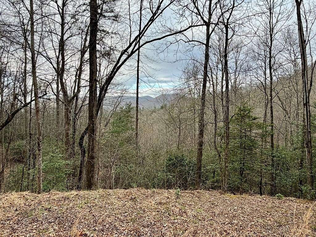 2.55 Acres of Residential Land for Sale in Hiawassee, Georgia