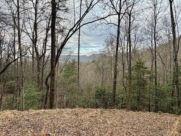 2.55 Acres of Residential Land for Sale in Hiawassee, Georgia